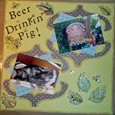 Beer drinking pig