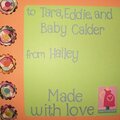 Baby Book Intro