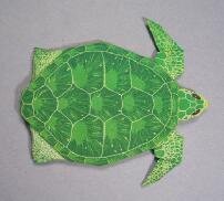 Origami Sea Turtle