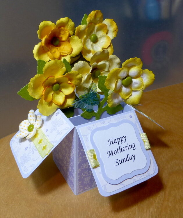 Mum&#039;s mini exploding pop-up box card