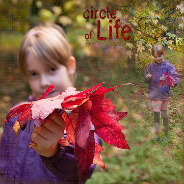 Circle of life_Val C Designs