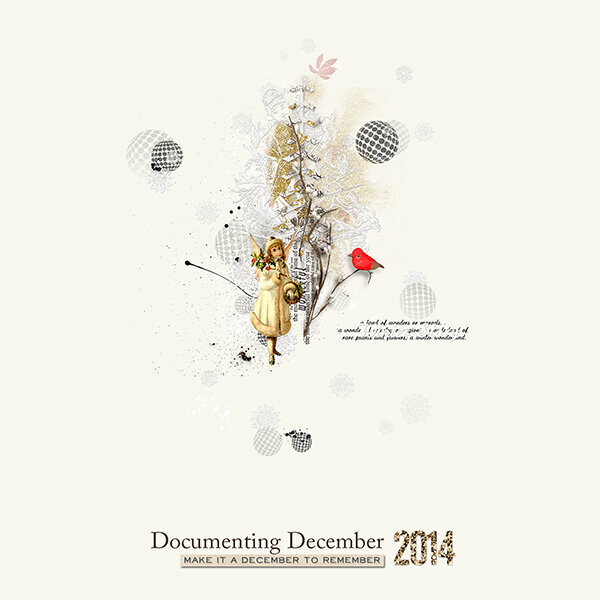 documenting december 2014