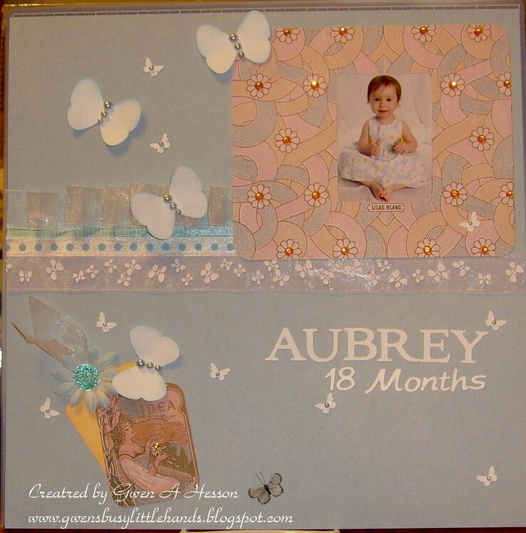 Aubrey 18 Months