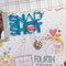 Snapshot - Fourth Grade