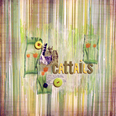 cattails