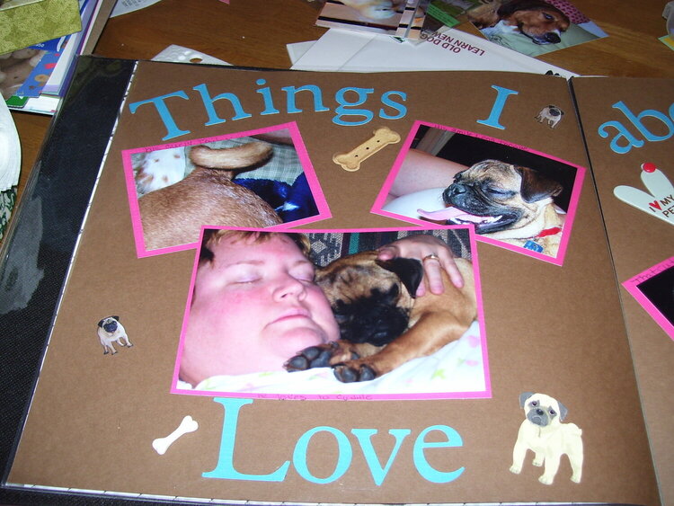 something I love about my pug 1