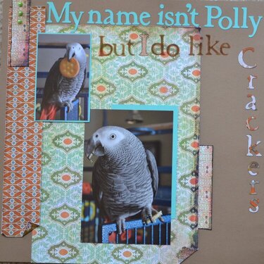 Not Polly
