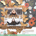 Welcome Winter's Butterflies *Pebbles*
