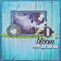 Bloom where you are . . .