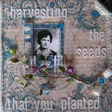 Harvesting the seeds that you planted
