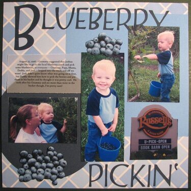 Blueberry Pickin&#039;