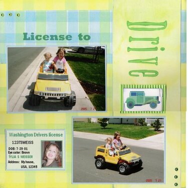 license to drive