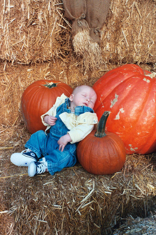 Gabriel w pumpkins