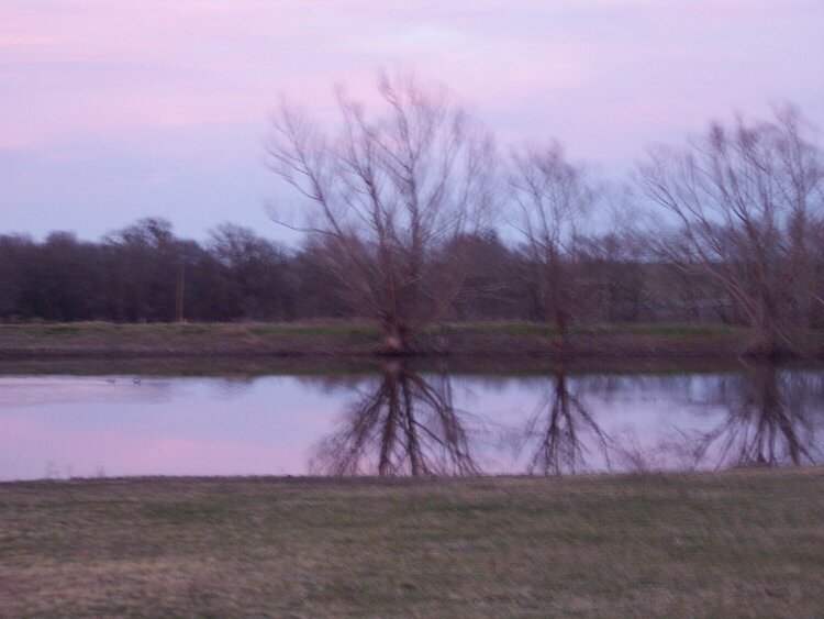 Feb 13 Reflections