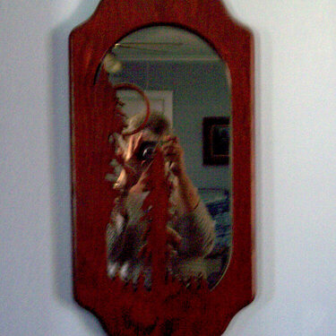 Feb 9 Mirror Mirror on the wall