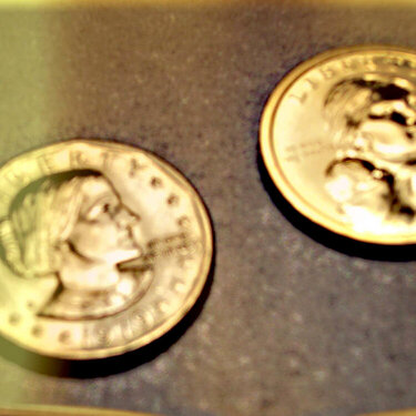 16.  Susan B. Anthony or other woman coin  8 points