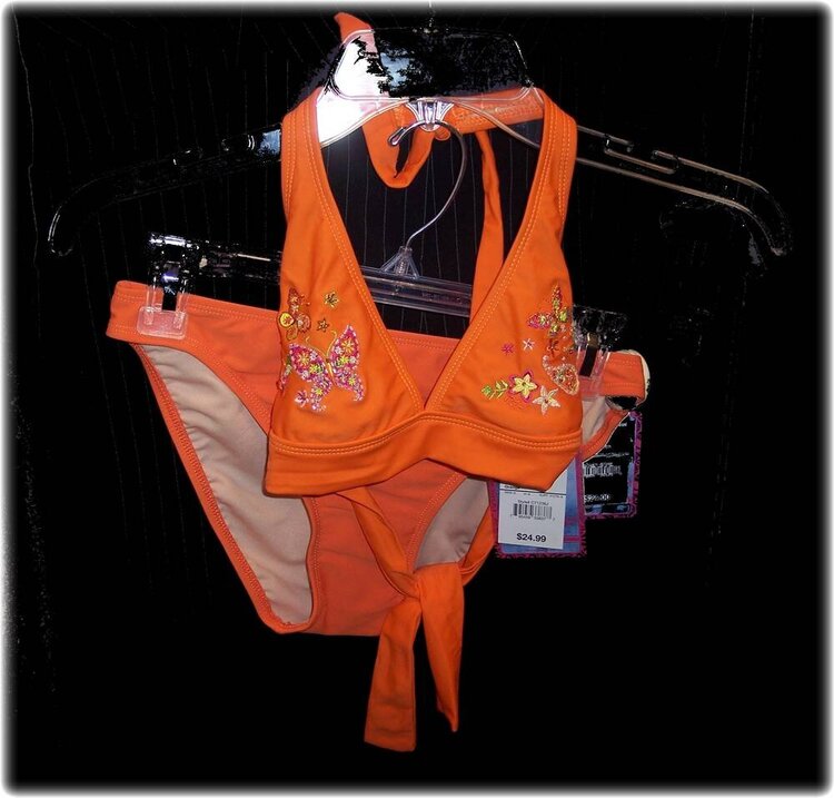 An Orange Swimsuit