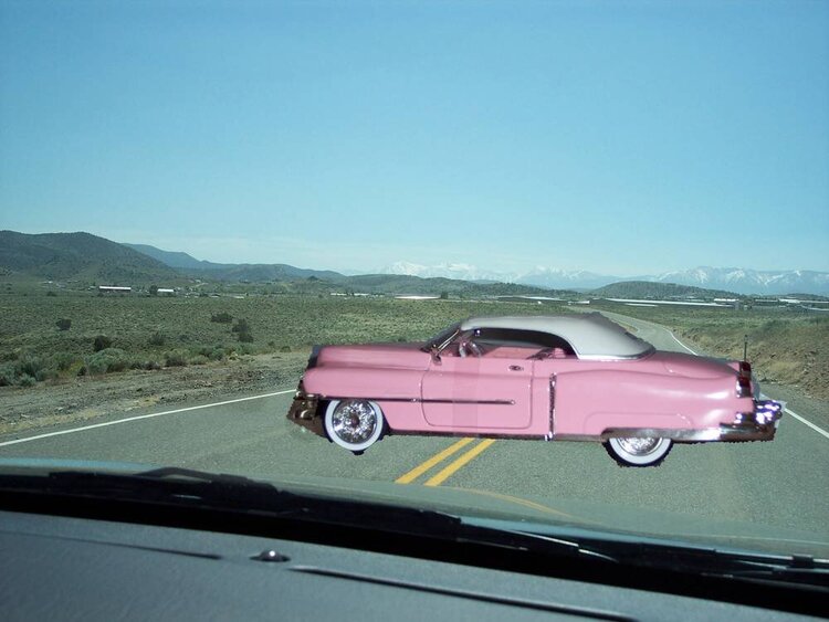 A pink car  10 points