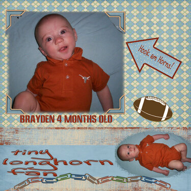 Tiny Longhorn Fan