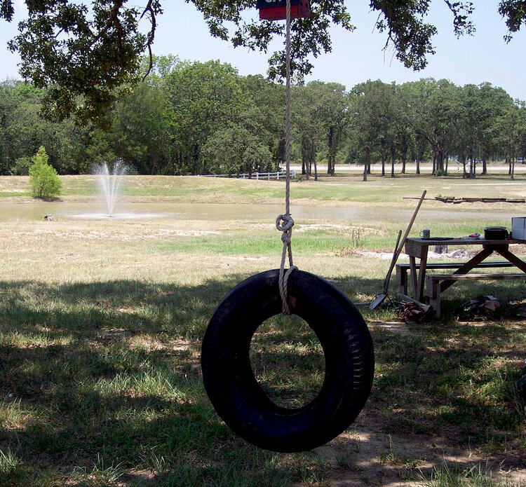2. A tire swing  5 points
