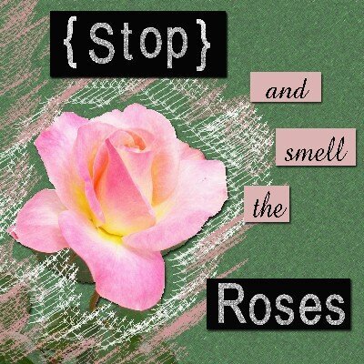 Stop and smell the Roses