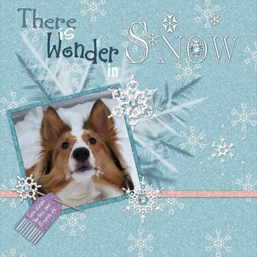There is Wonder in Snow
