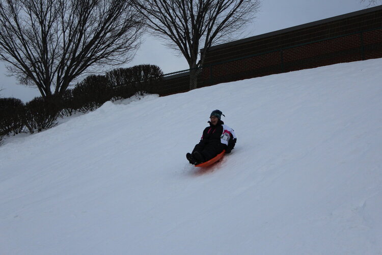 Adults can sled too