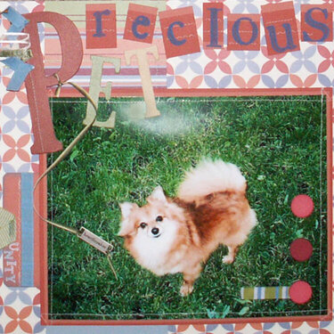 Precious Pet - Scrap Talk DT