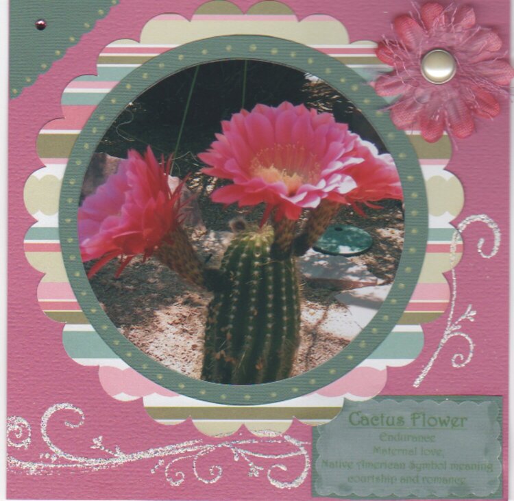 Cactus flower