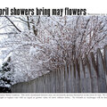 April Showers Bring May Flowers