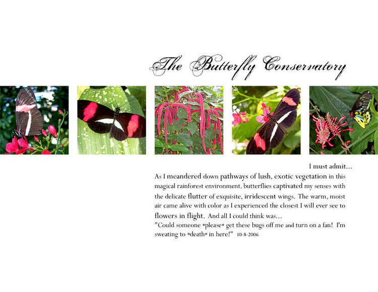 The Butterfly Conservatory