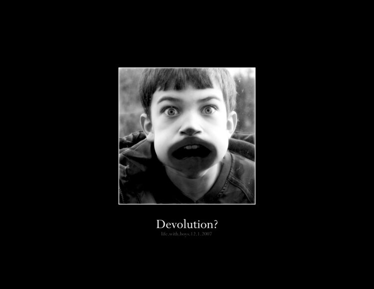 Devolution?