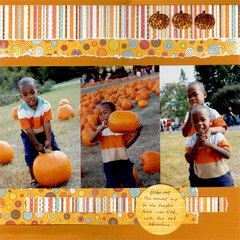 Picking Pumpkins Rt.