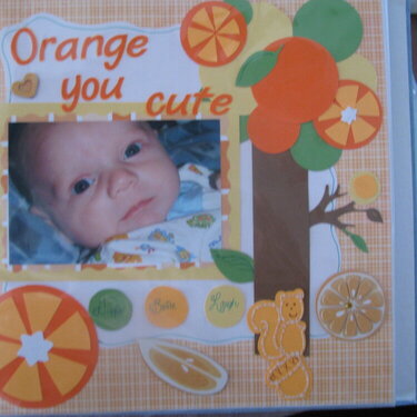 Orange You Cute