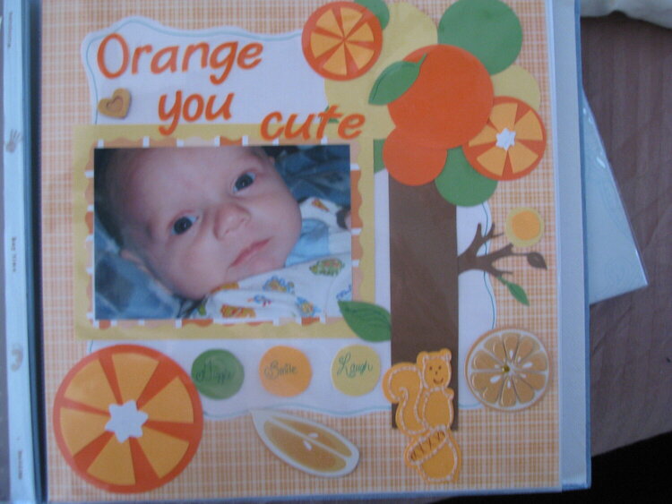 Orange You Cute