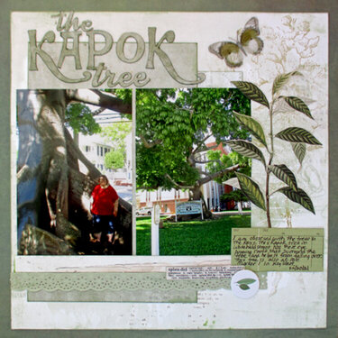 The Kapok Tree