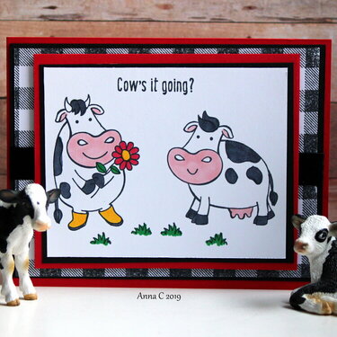 Cow&#039;s It Going?