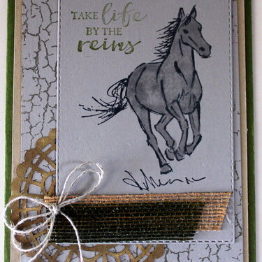 Take Life by the Reins