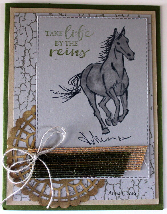 Take Life by the Reins