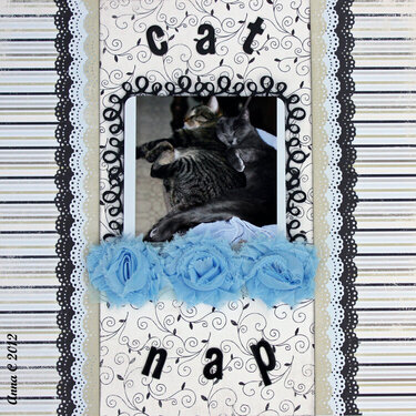 *** FUNTOOLAS*** CAT NAP