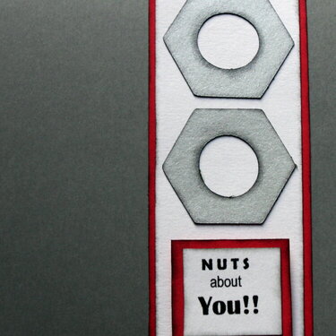 Nuts about You!