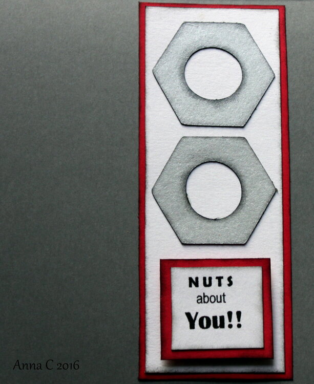 Nuts about You!