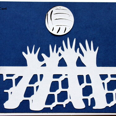 Volley Ball Card