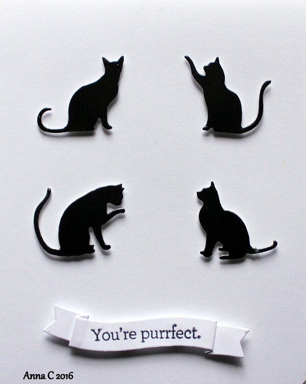 You&#039;re Purrfect