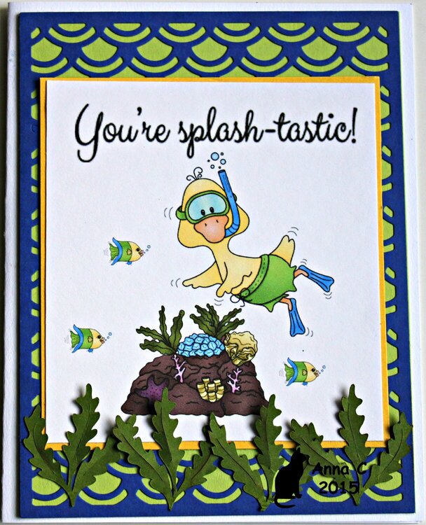 You&#039;re Splash-Tastic