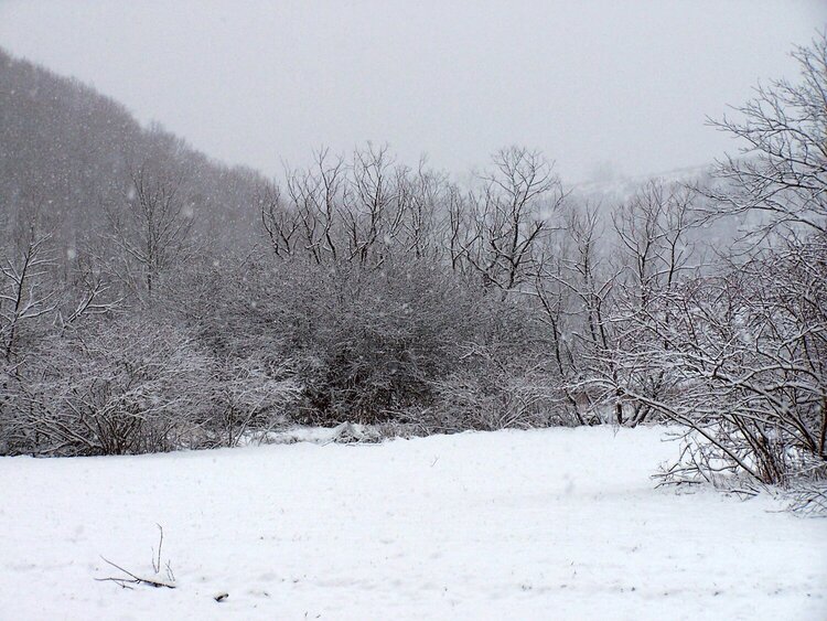 Snow Day 2/6/2010