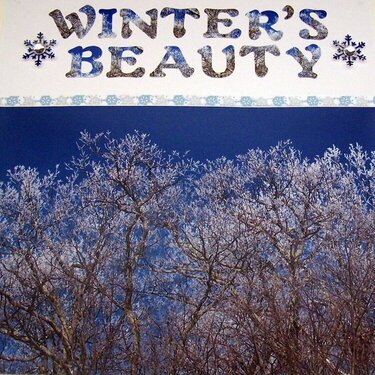 Winter&#039;s Beauty