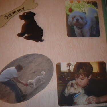 My Dog sammy