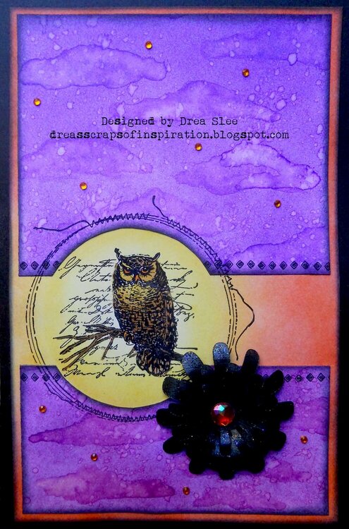 Owl Card