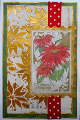 Poinsettia Day Card ~ FotoBella DT
